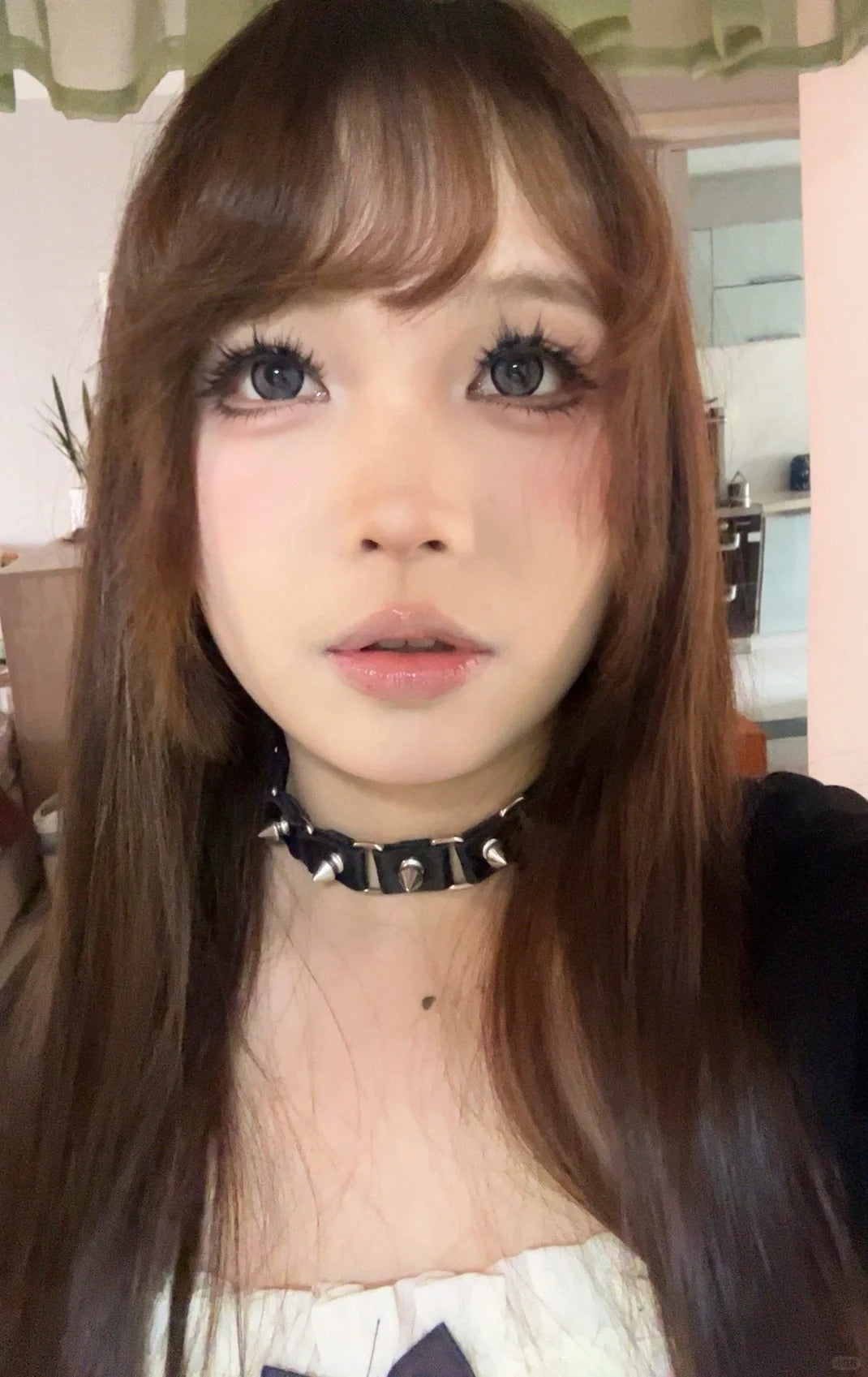 Kaylens 琉璃银灰 日抛