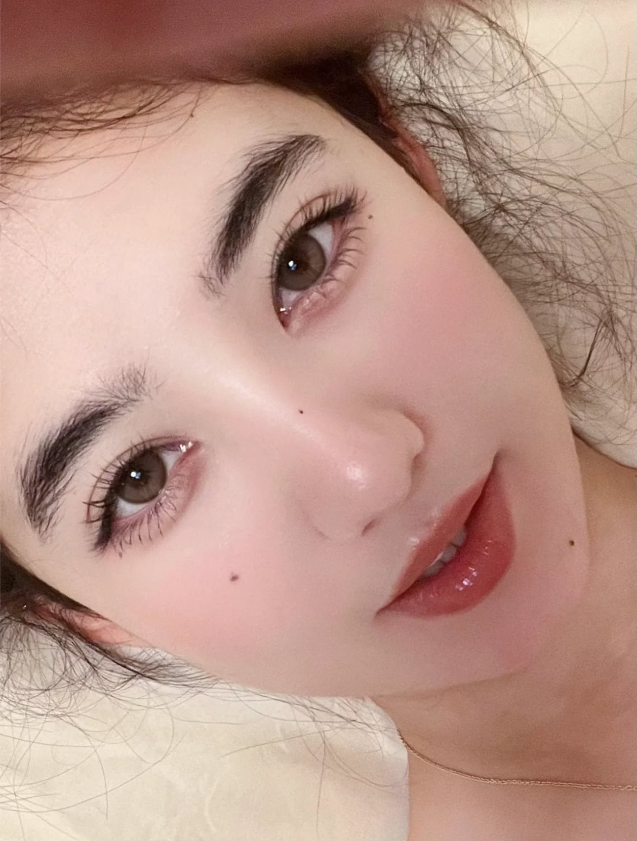 Bariecat 燕麦贝果 日抛