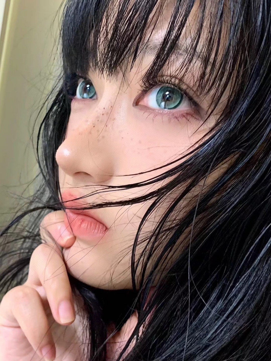 Yukicon 青妖姬 日抛