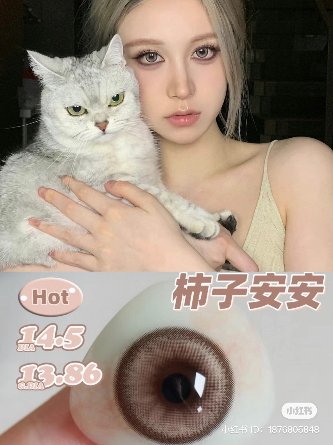 Mimipark 柿子安安 月抛