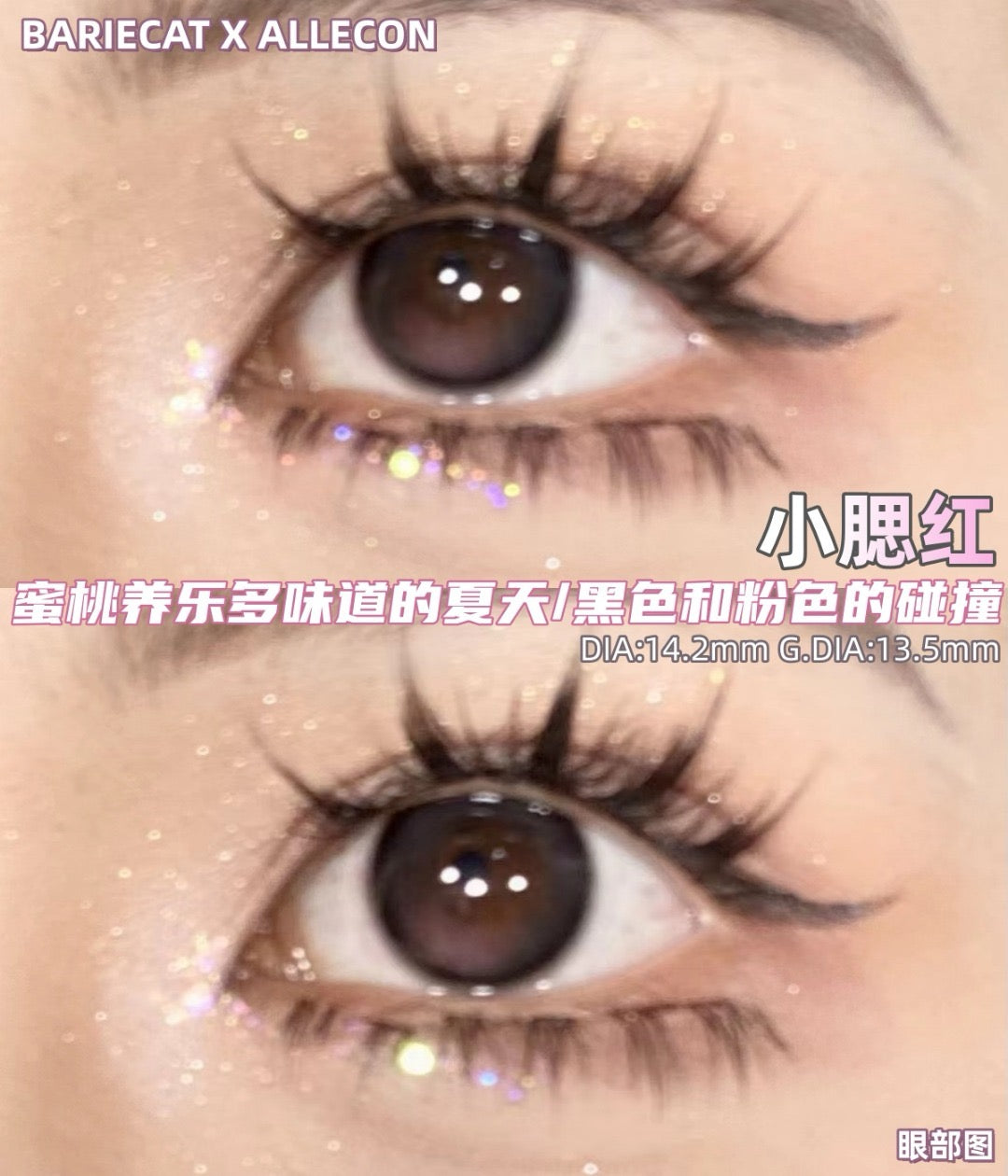 Bariecat 小腮红 日抛