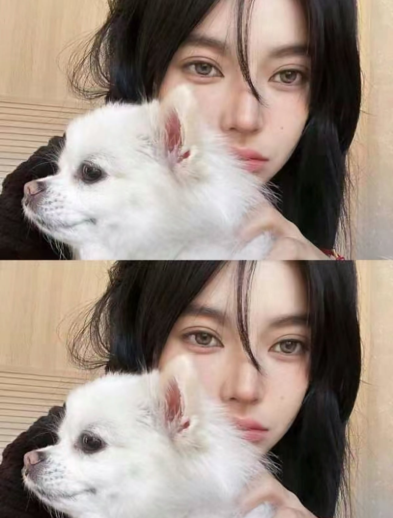 Kirafairy 板栗帽子 年抛