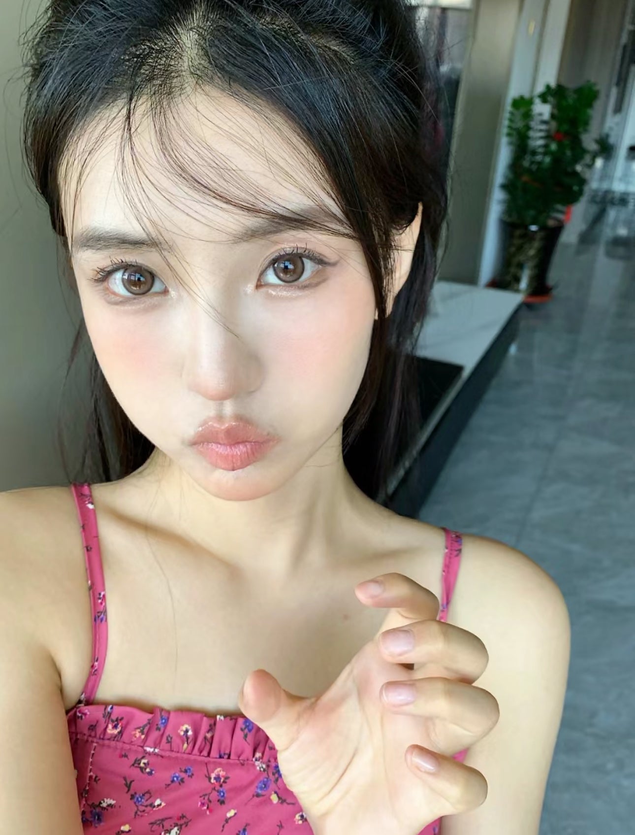 Bariecat 小奶球 日抛