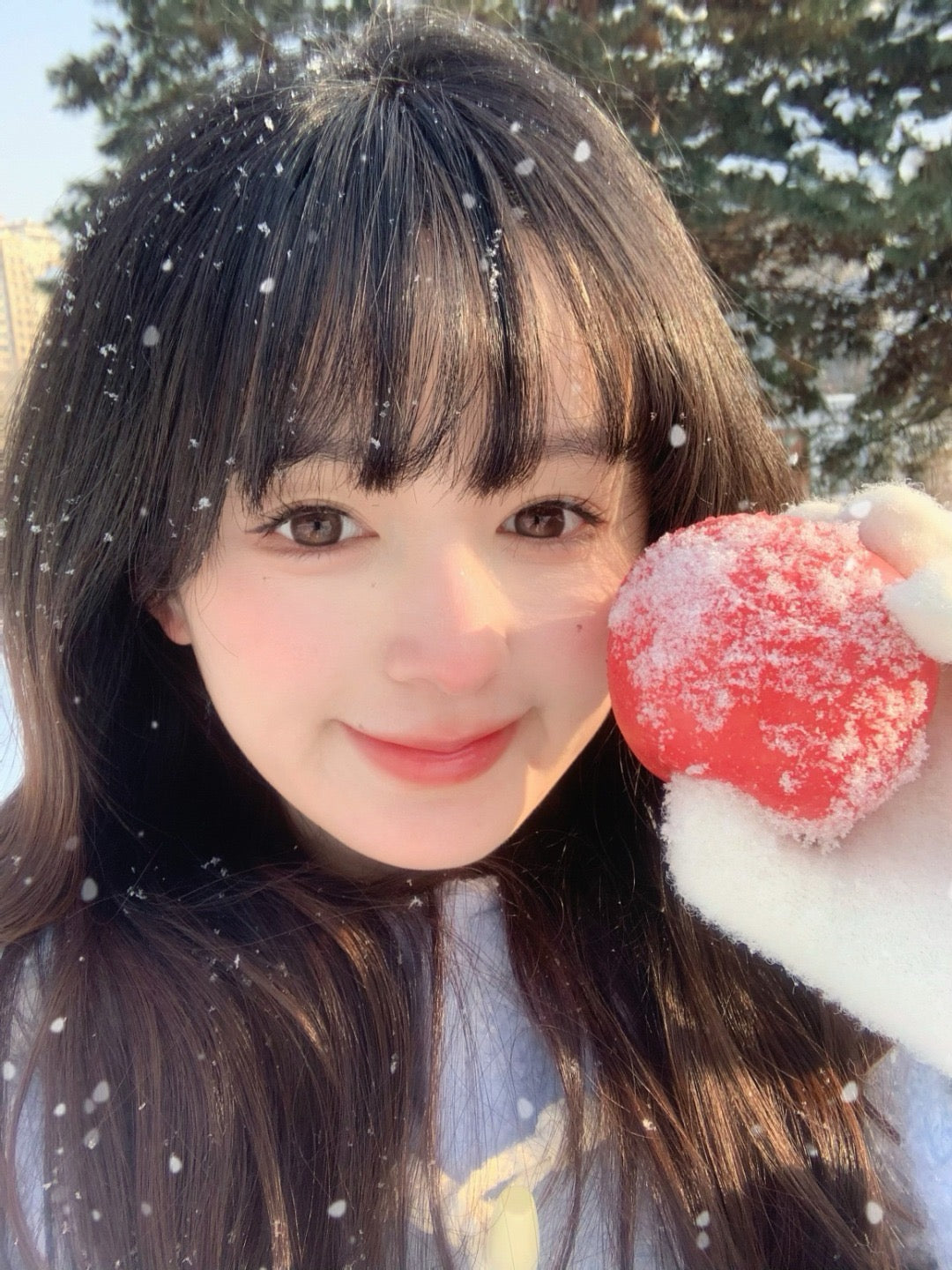 Bariecat 小卧蚕 日抛