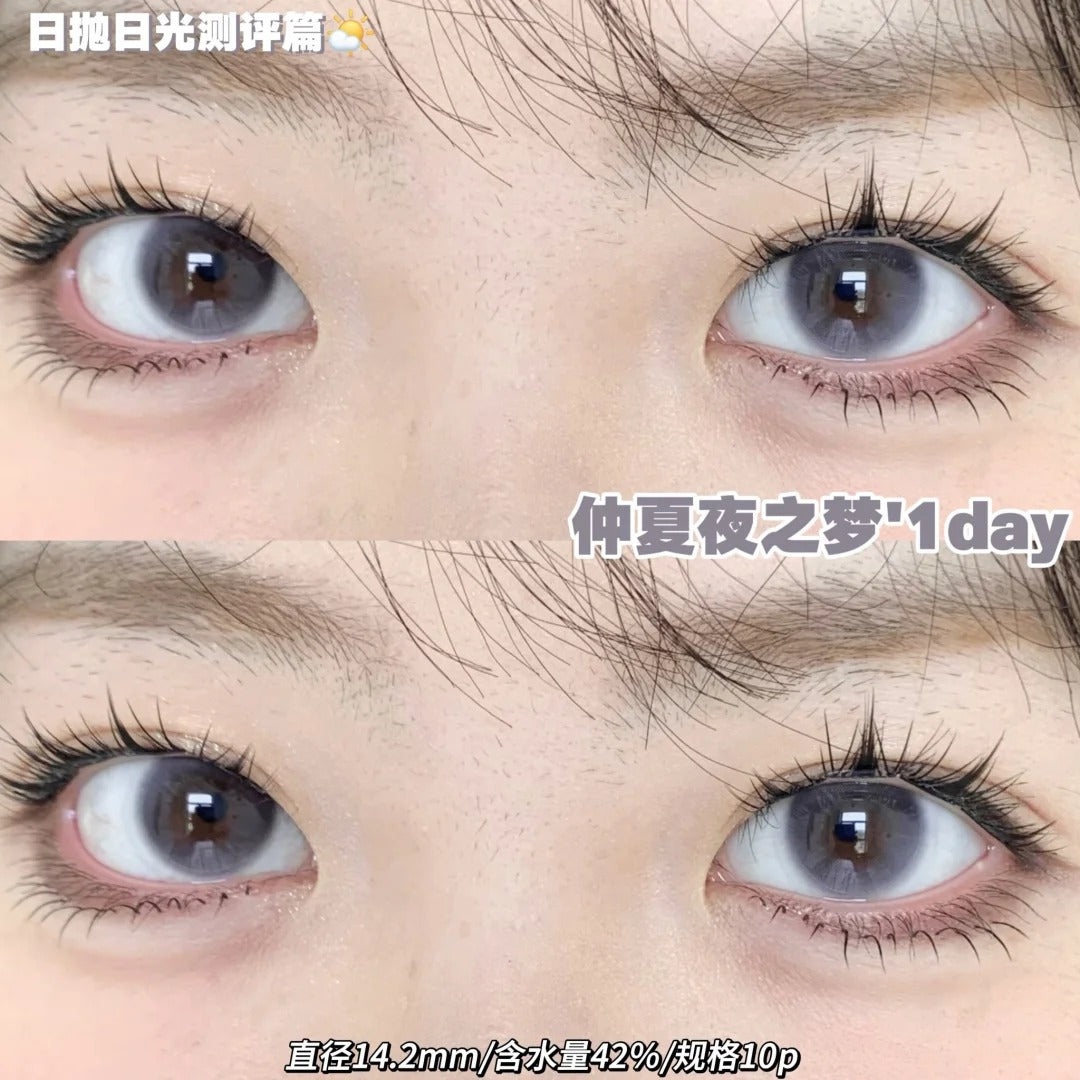 Toffee 仲夏夜之梦 日抛
