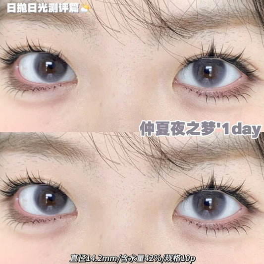 Toffee 仲夏夜之梦 日抛