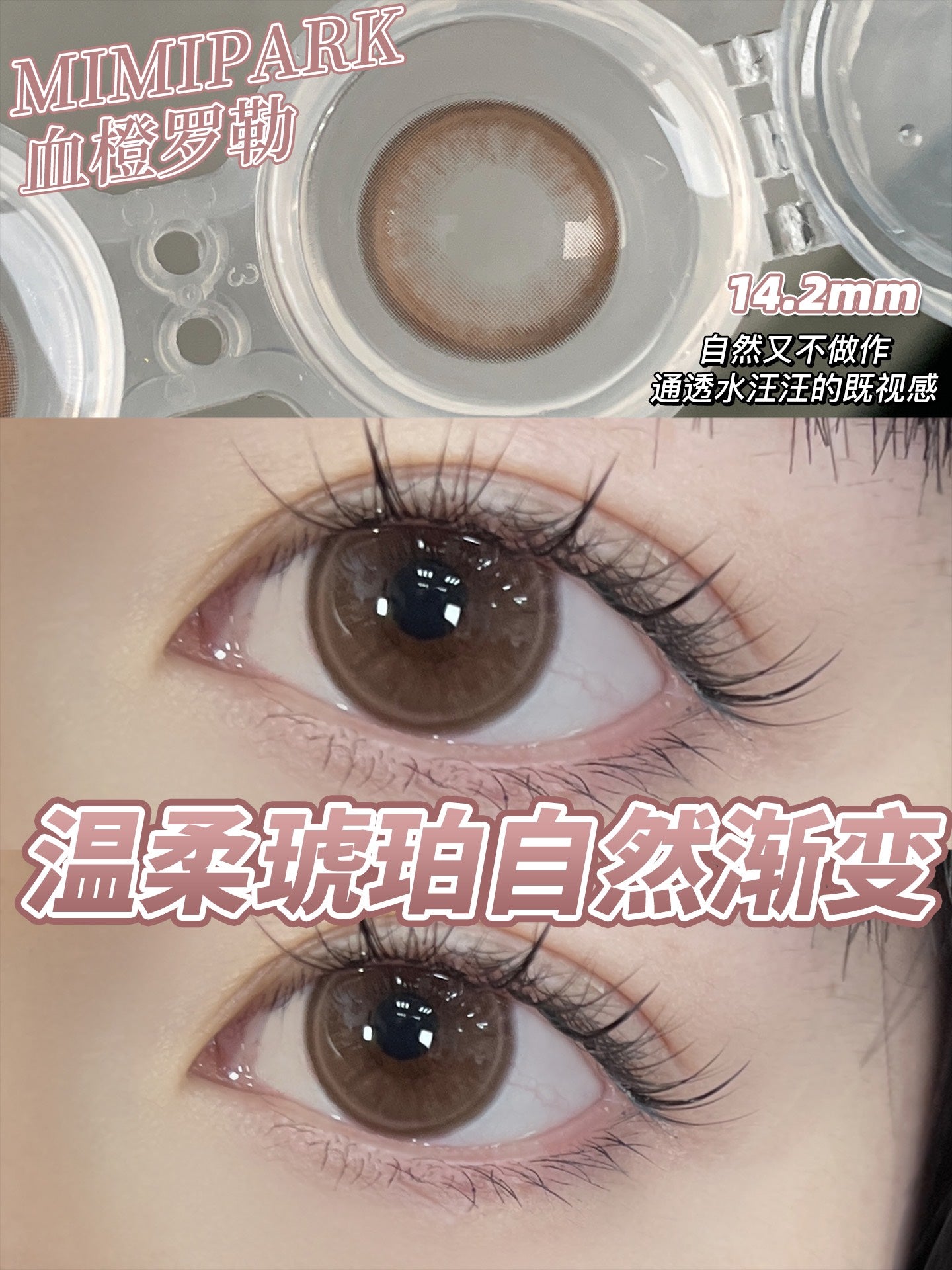 Mimipark 血橙罗勒  日抛