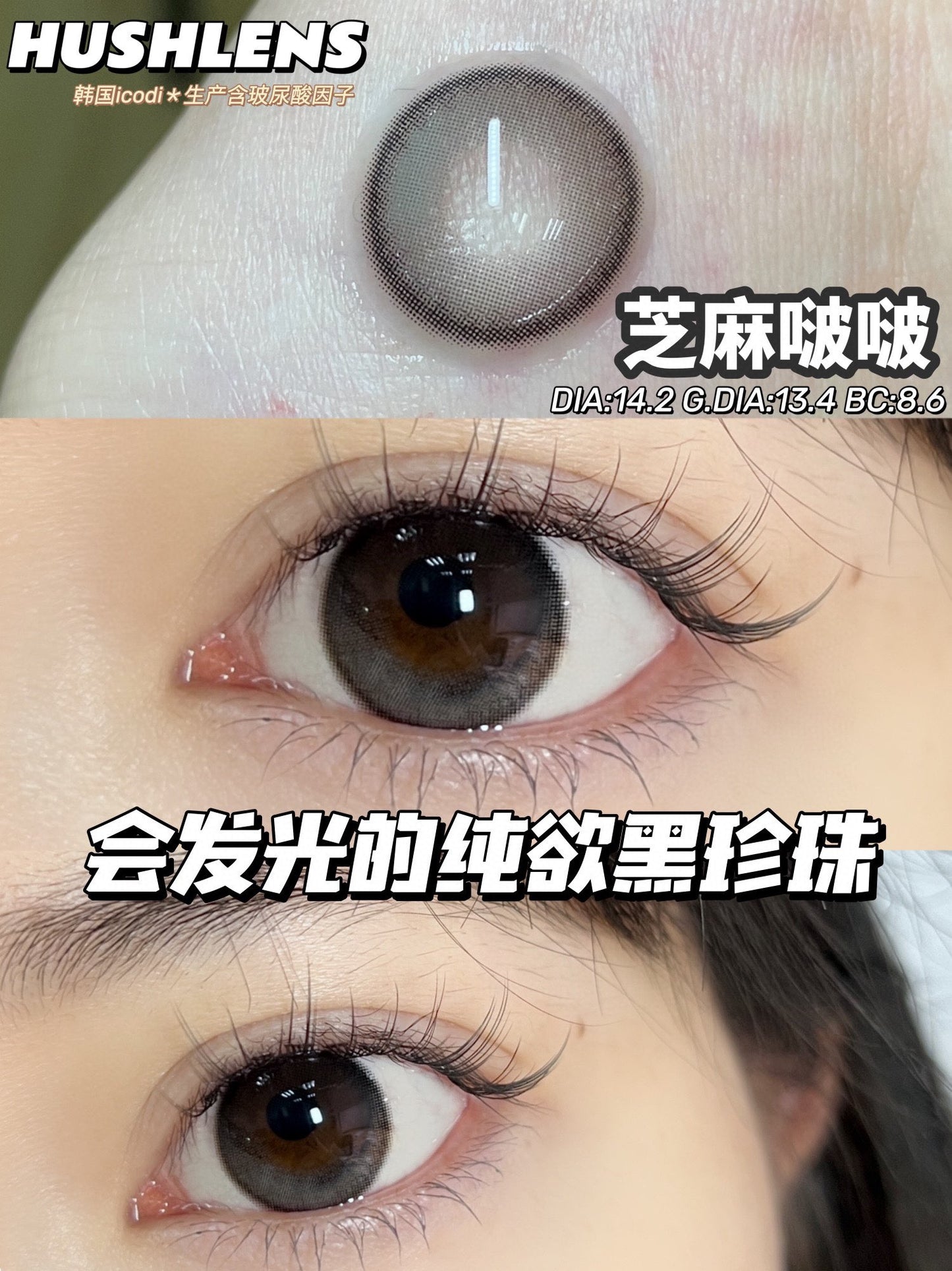 Hushlens 芝麻啵啵 年抛