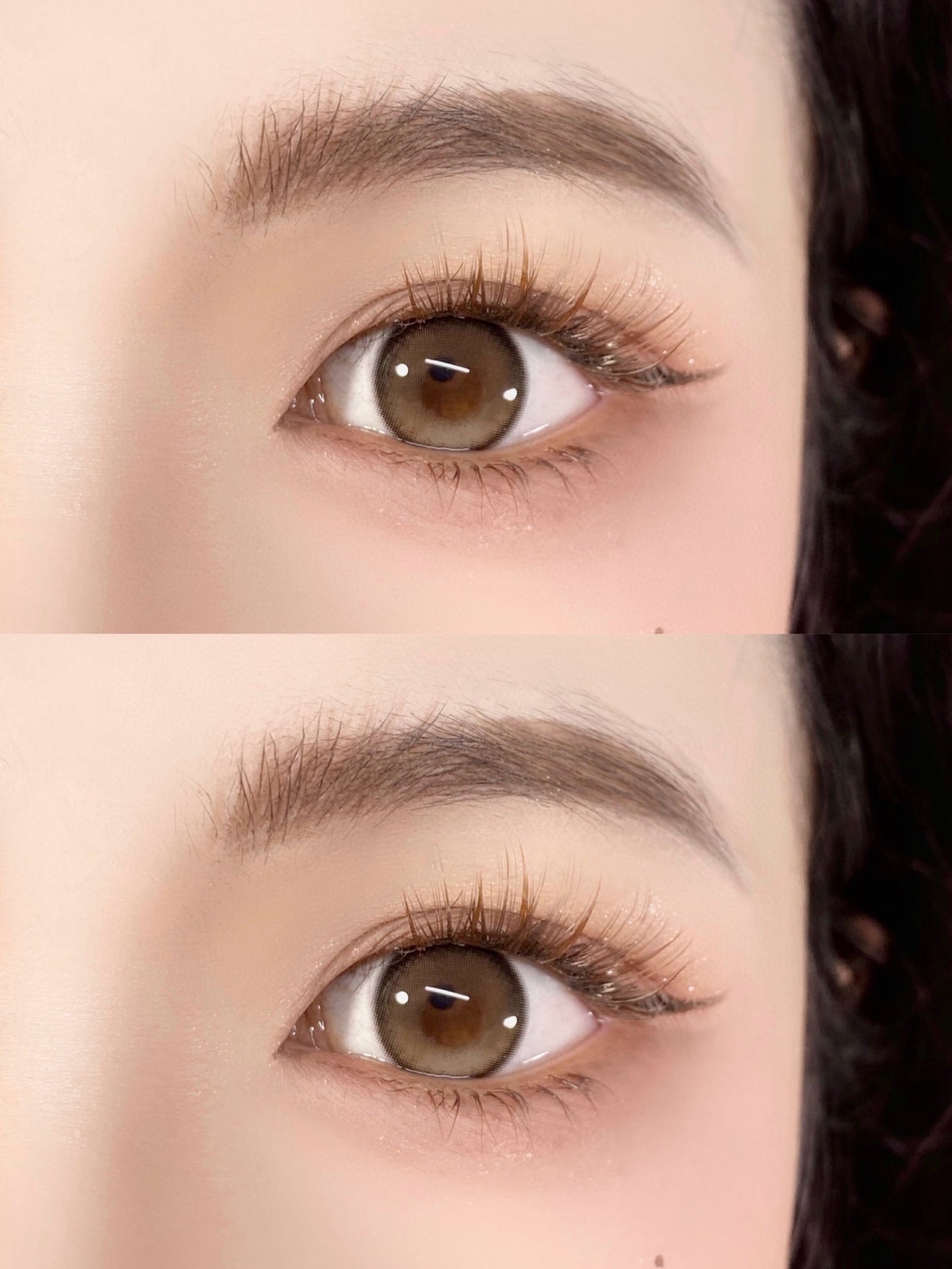 Hushlens 高光奶茶 年抛