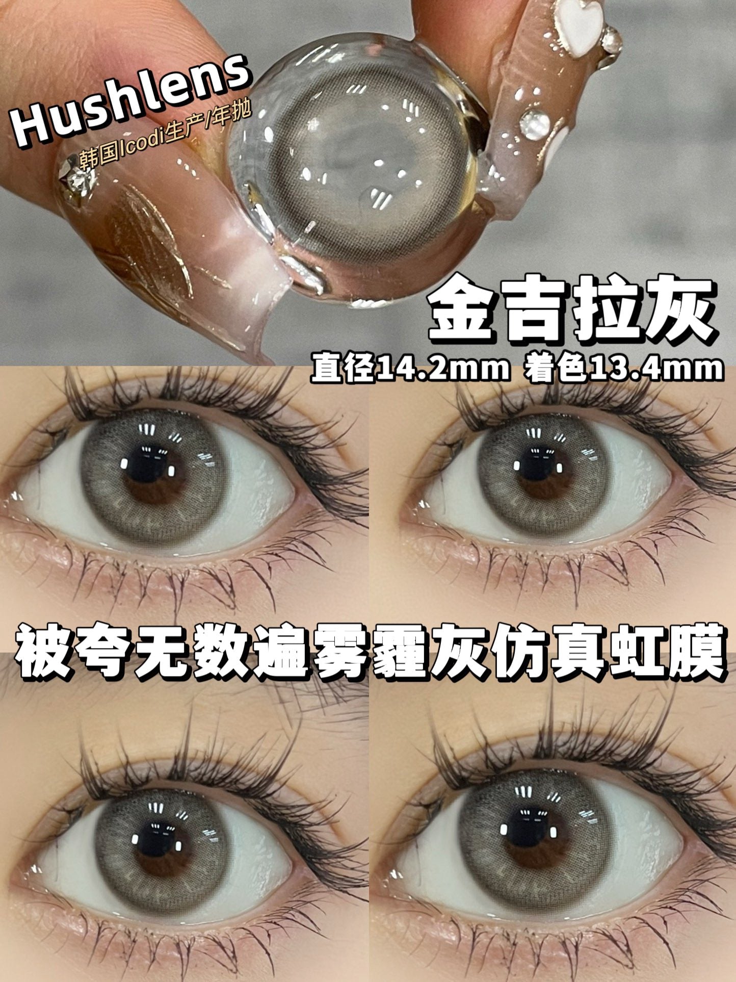 Hushlens 金吉拉灰 年抛
