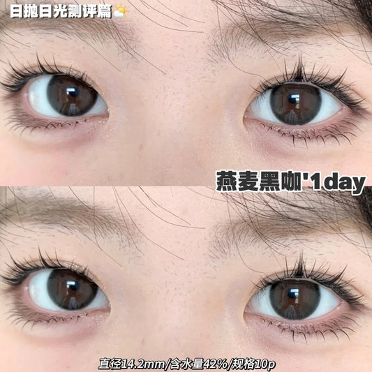 Toffee 燕麦黑咖 日抛